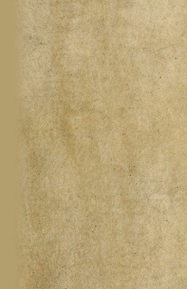 Contemplatio totivs vitae et passionis Domini Nostri Iesv Christi