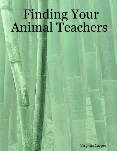 Finding Your Animal Teachers