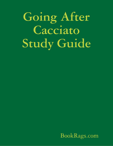 Going After Cacciato Study Guide
