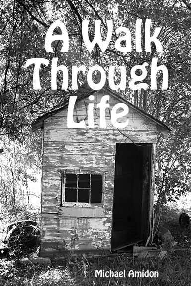 A Walk Through Life