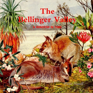 The Bellinger Valley: A Window in Time
