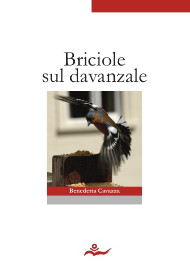 Briciole sul davanzale