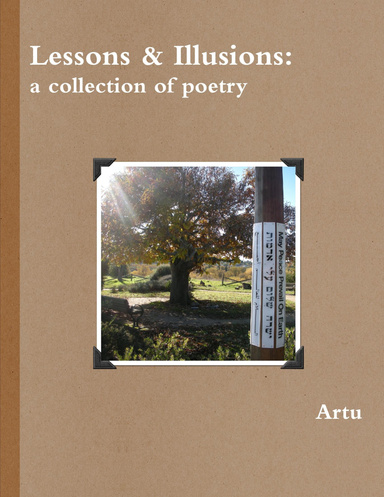 Lessons & Illusions:  a collection of poetry