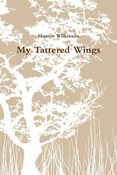 My Tattered Wings