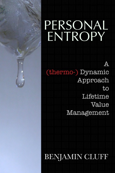 Personal Entropy: A dynamic approach to lifetime value management
