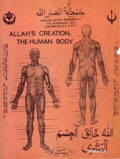 ALLAH'S CREATION  - THE HUMAN BODY