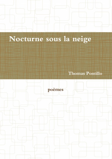 Nocturne sous la neige