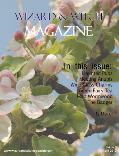 Wizard & Witch Magazine - April 2010 Issue