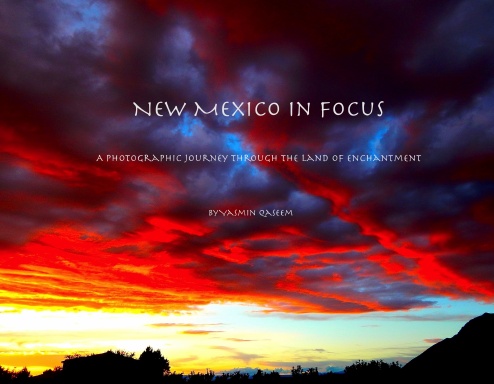 New Mexico in Focus