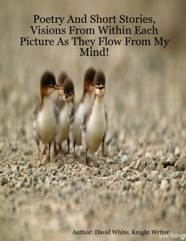 Poetry And Short Stories, Visions From Within Each Picture As They Flow From My Mind!