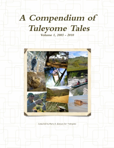 A Compendium of Tuleyome Tales, Volume 1