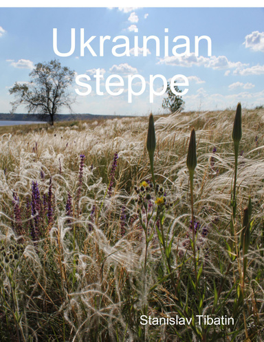 Ukrainian steppe