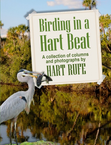 Birding in a Hart Beat