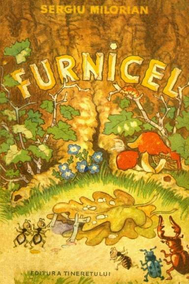 Furnicel