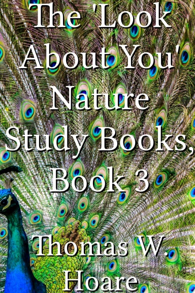 The 'Look About You' Nature Study Books, Book 3