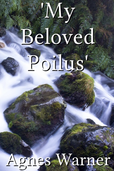'My Beloved Poilus'