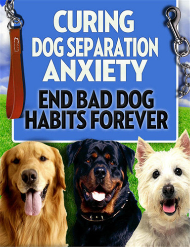 Curing Dog Separation Anxiety