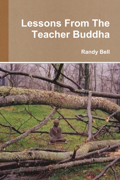 Lessons From The Teacher Buddha