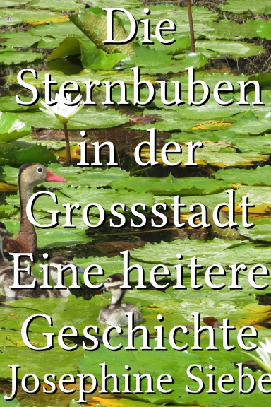 Die Sternbuben in der Grossstadt Eine heitere Geschichte [German]