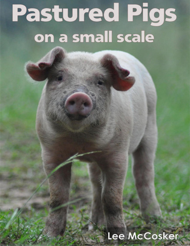 Pastured Pigs On a Small Scale