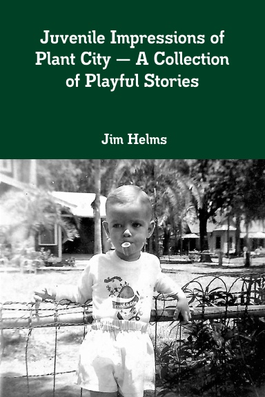 Juvenile Impressions of Plant City — A Collection of Playful Stories