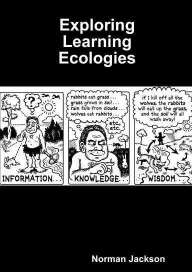 Exploring Learning Ecologies