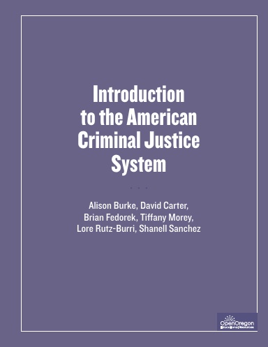 Introduction to the American Criminal Justice System