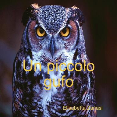 Un piccolo gufo