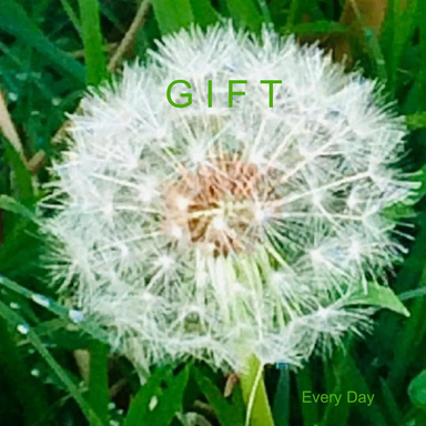 Gift