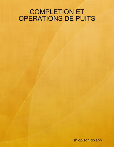 COMPLETION ET OPERATIONS DE PUITS