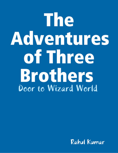 The Adventures of Three Brothers : Door to Wizard World