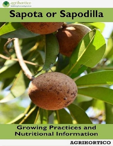 Sapota or Sapodilla: Growing Practices and Nutritional Information