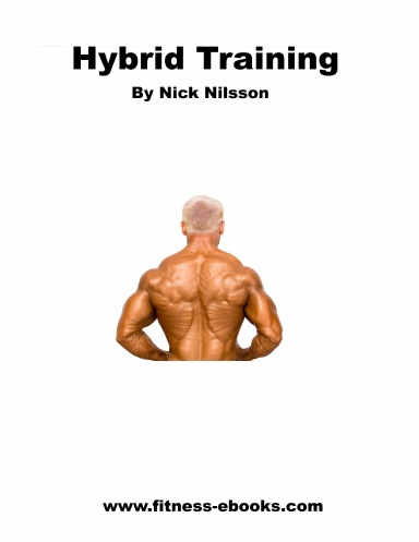 Hybrid Training