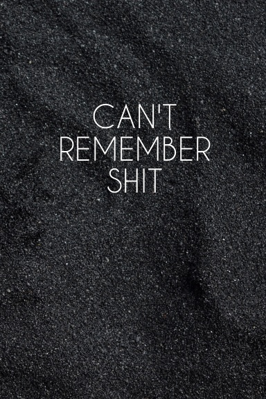 Can't Remember Shit: Password Log Book