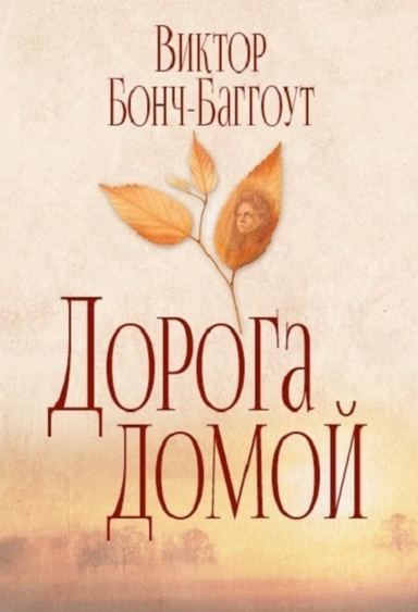 Дорога домой