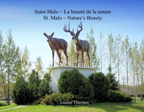 Saint-Malo : La Beauté de la nature / Nature's Beauty
