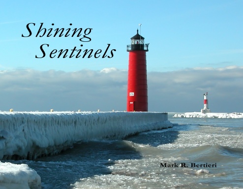 Shining Sentinels