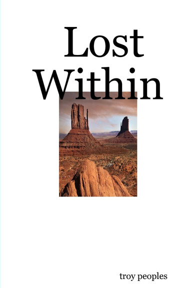 Lost Within