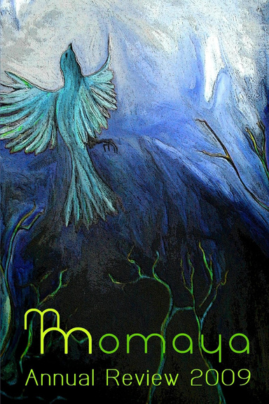 Momaya Annual Review 2009