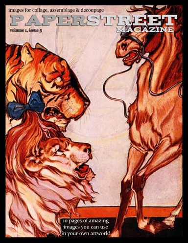 PaperStreet Magazine - volume i, issue v