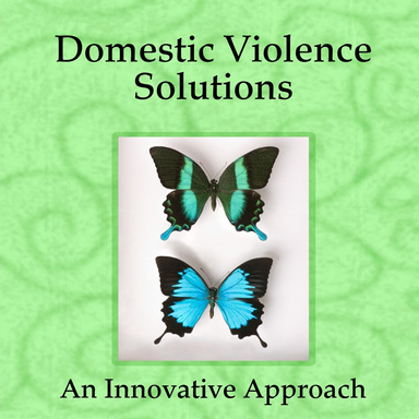 Domestic Violence Solutions