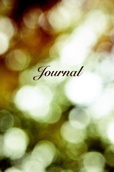 Journal