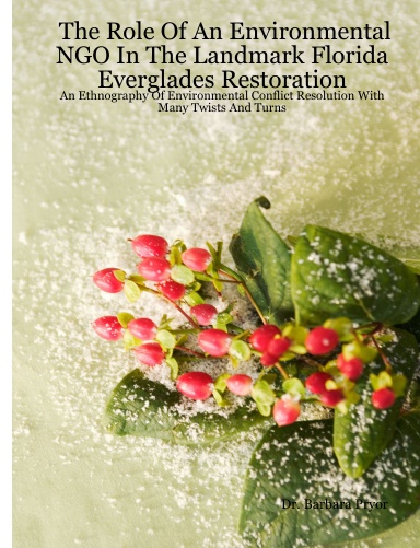 The Role Of An Environmental NGO In The Landmark Florida Everglades Restoration: An Ethnography Of Environmental Conflict Resolution With Many Twists And Turns