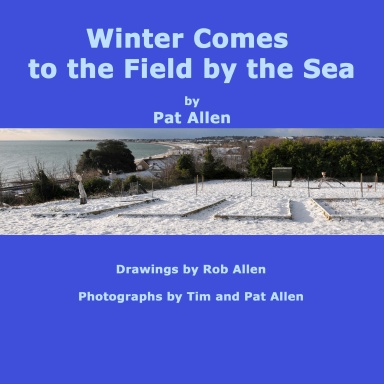 Winter Comes to the Field by the Sea