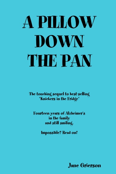 A PILLOW DOWN THE PAN