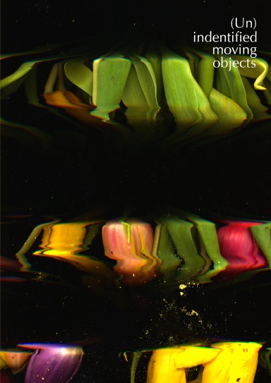 Sweeping subversion Objects