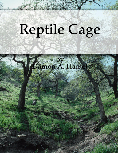 Reptile Cage