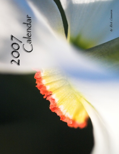 2007 Calendar
