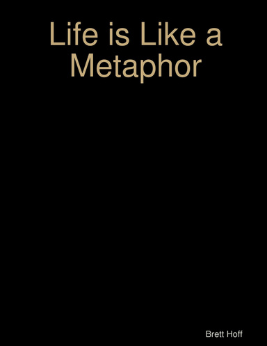 Life is Like a Metaphor