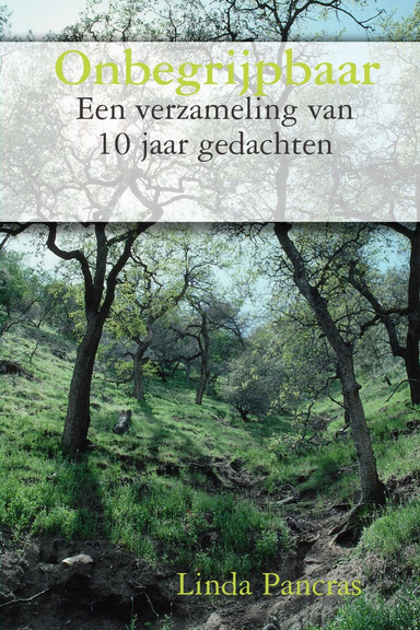 Onbegrijpbaar